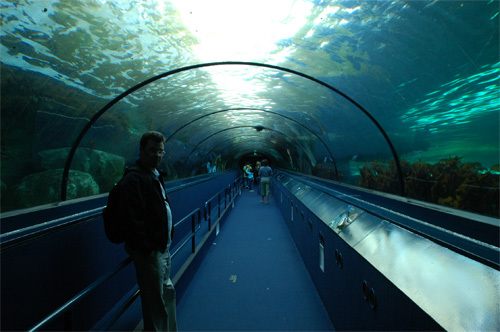 Aquarium de Sydney