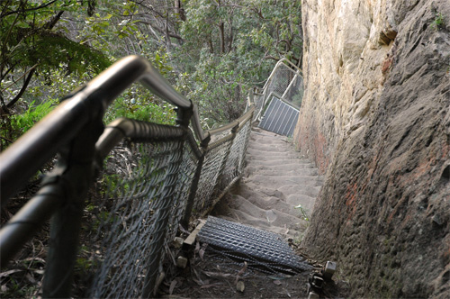 Blue Mountains