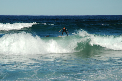 Bondi Beach