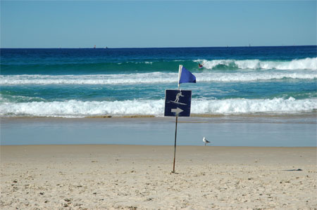 Surfer Paradise