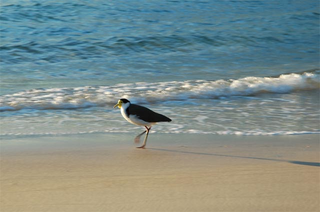 Great Keppel Island