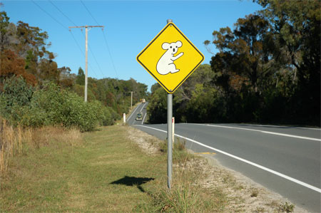 North Stradbroke Island