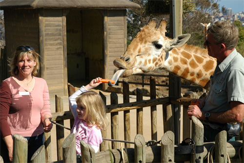 Taronga